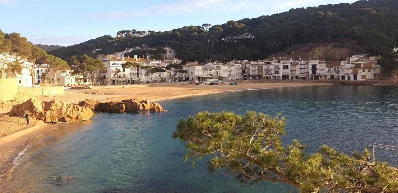 Precioso Apartamento Con Piscina En Tamariu Buitenkant foto